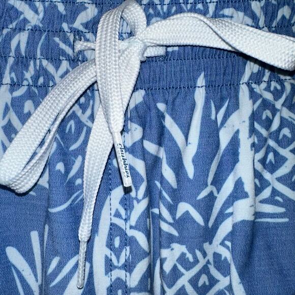 Chubbies The Thigh-Napples Blue Pineapple 5.5” Swim Trunks Size L - Picture 6 of 16